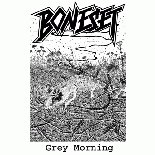 Boneset : Grey Morning